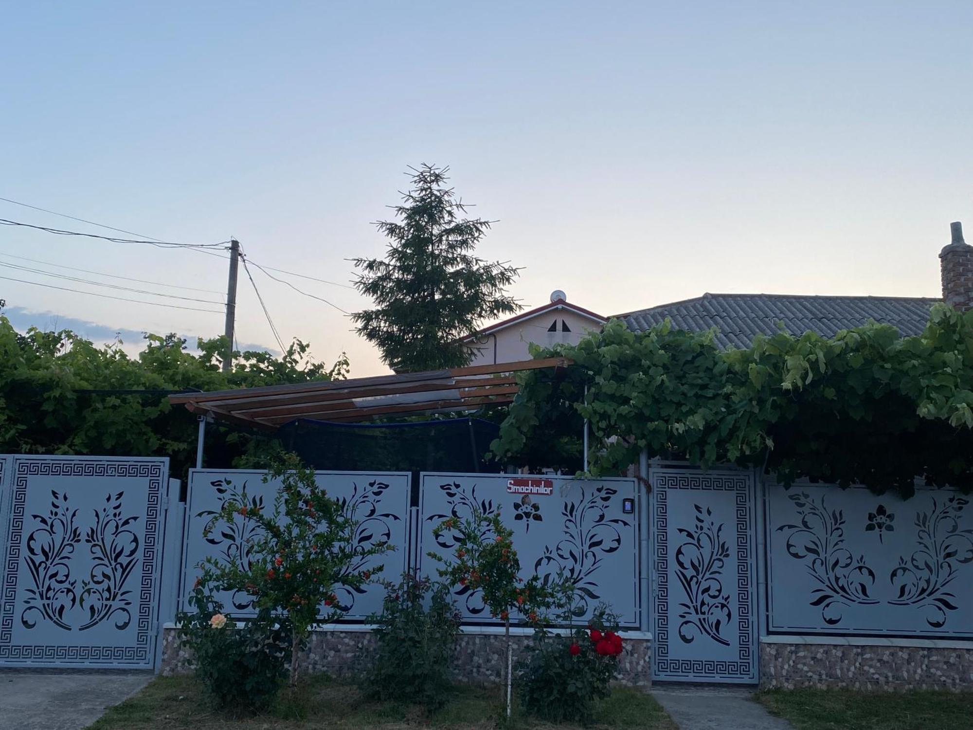 Casa Dasoveanu Костинешти Экстерьер фото